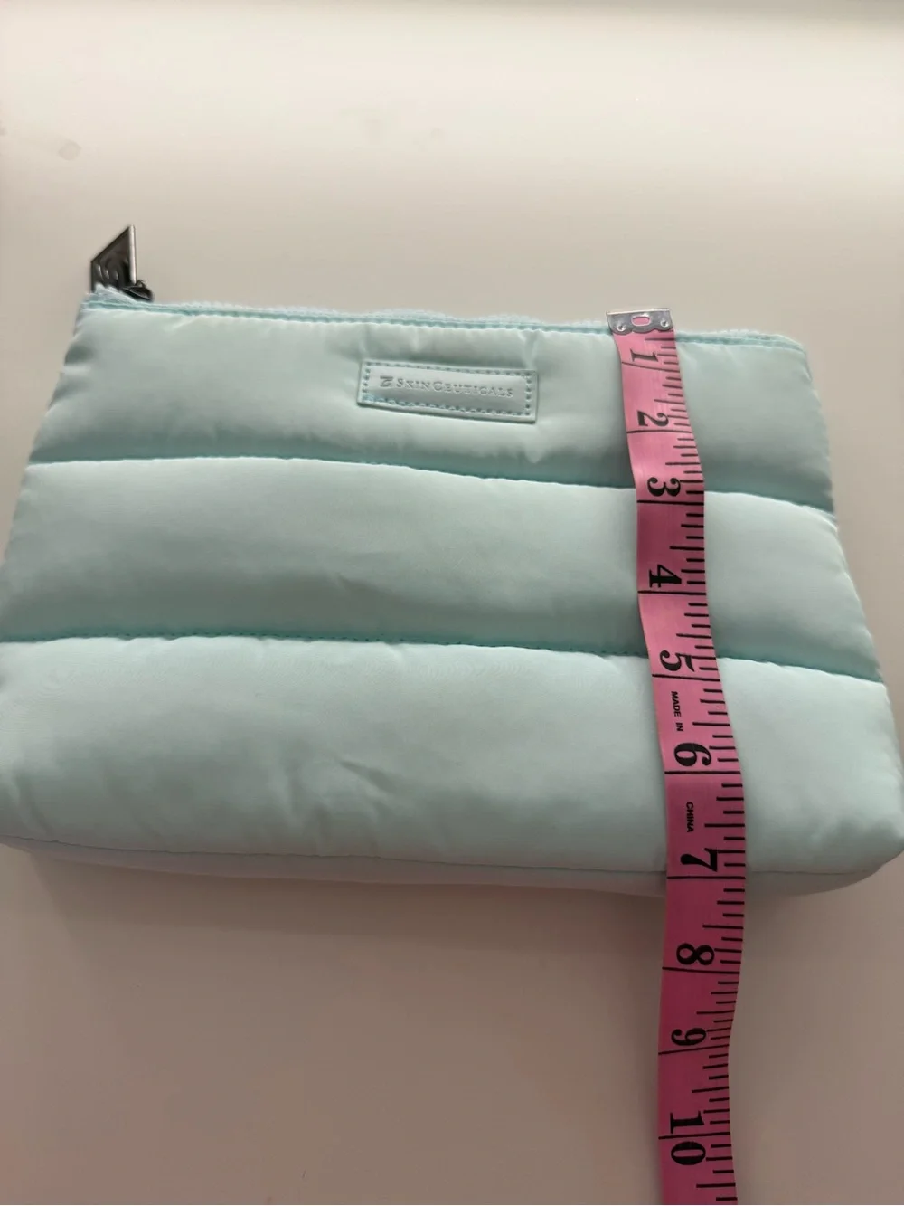 Skin Ceuticals Padded Light Aqua Cosmetic Pouch - Women Bags